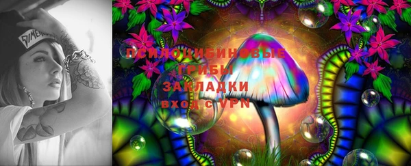 гидра Армянск
