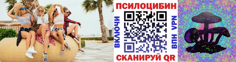 omg как зайти  Уссурийск  Псилоцибиновые грибы Psilocybe 
